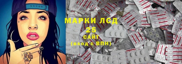 spice Бородино